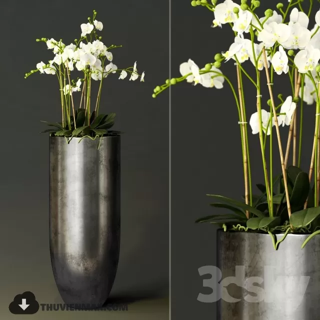 3DSKYFREE – PLANT 3DS MAX MODELS