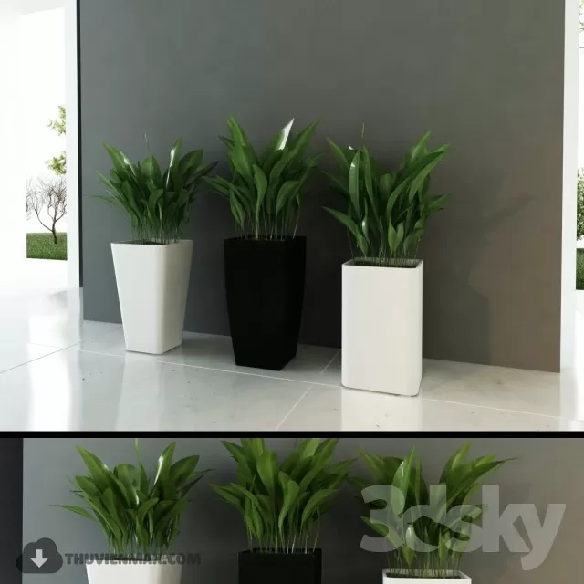 3DSKYFREE – PLANT 3DS MAX MODELS