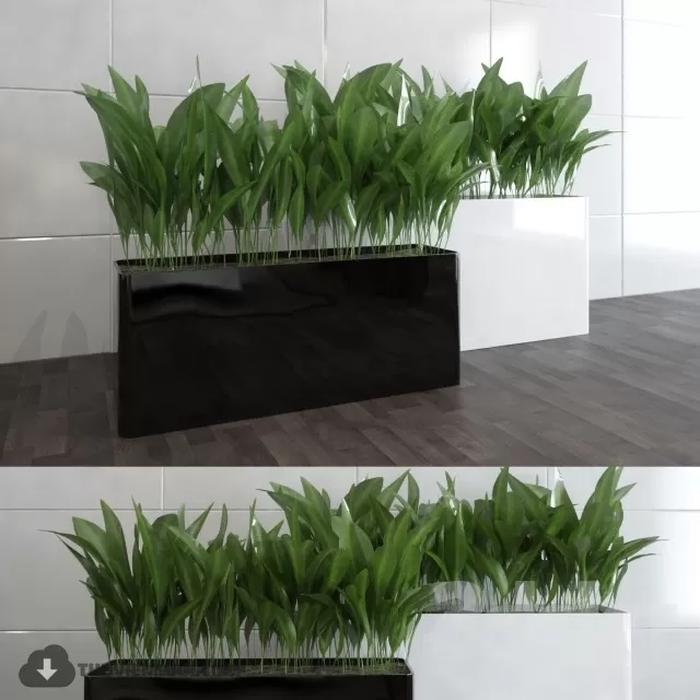 3DSKYFREE – PLANT 3DS MAX MODELS