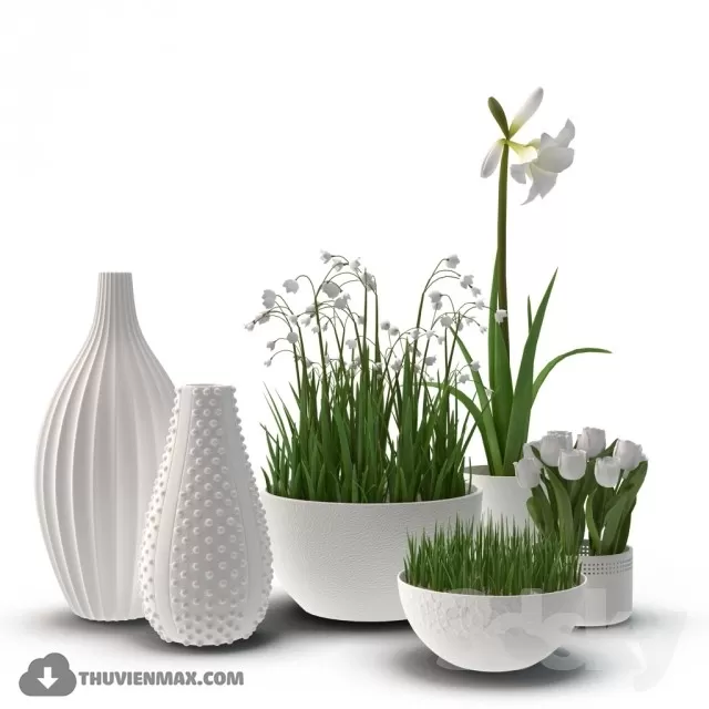 PLANT 3D MODELS