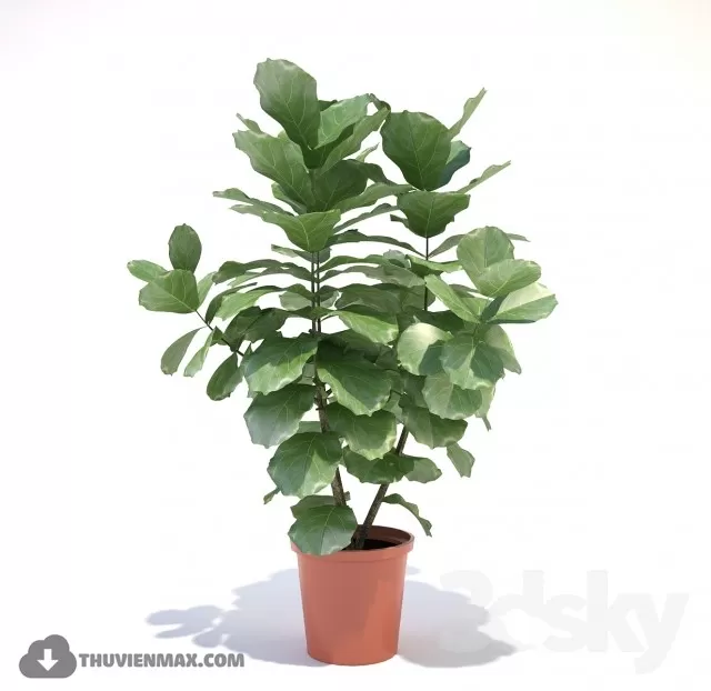 3DSKYFREE – PLANT 3DS MAX MODELS