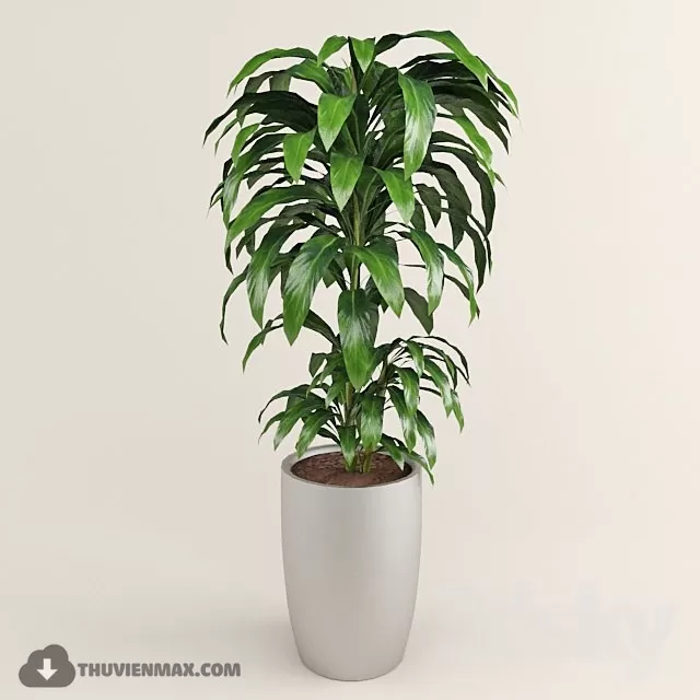 3DSKYFREE – PLANT 3DS MAX MODELS