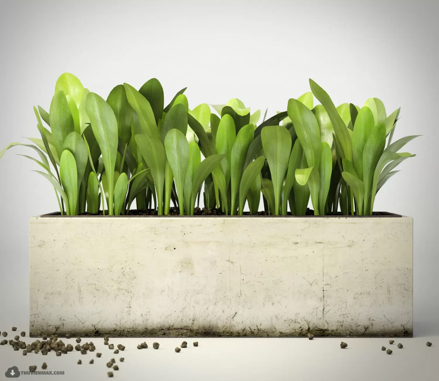 3DSKYFREE – PLANT 3DS MAX MODELS