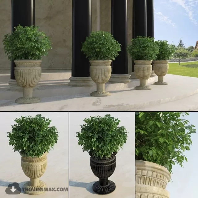 3DSKYFREE – PLANT 3DS MAX MODELS