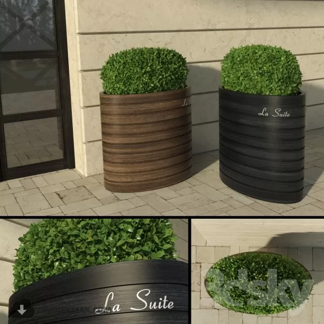 3DSKYFREE – PLANT 3DS MAX MODELS