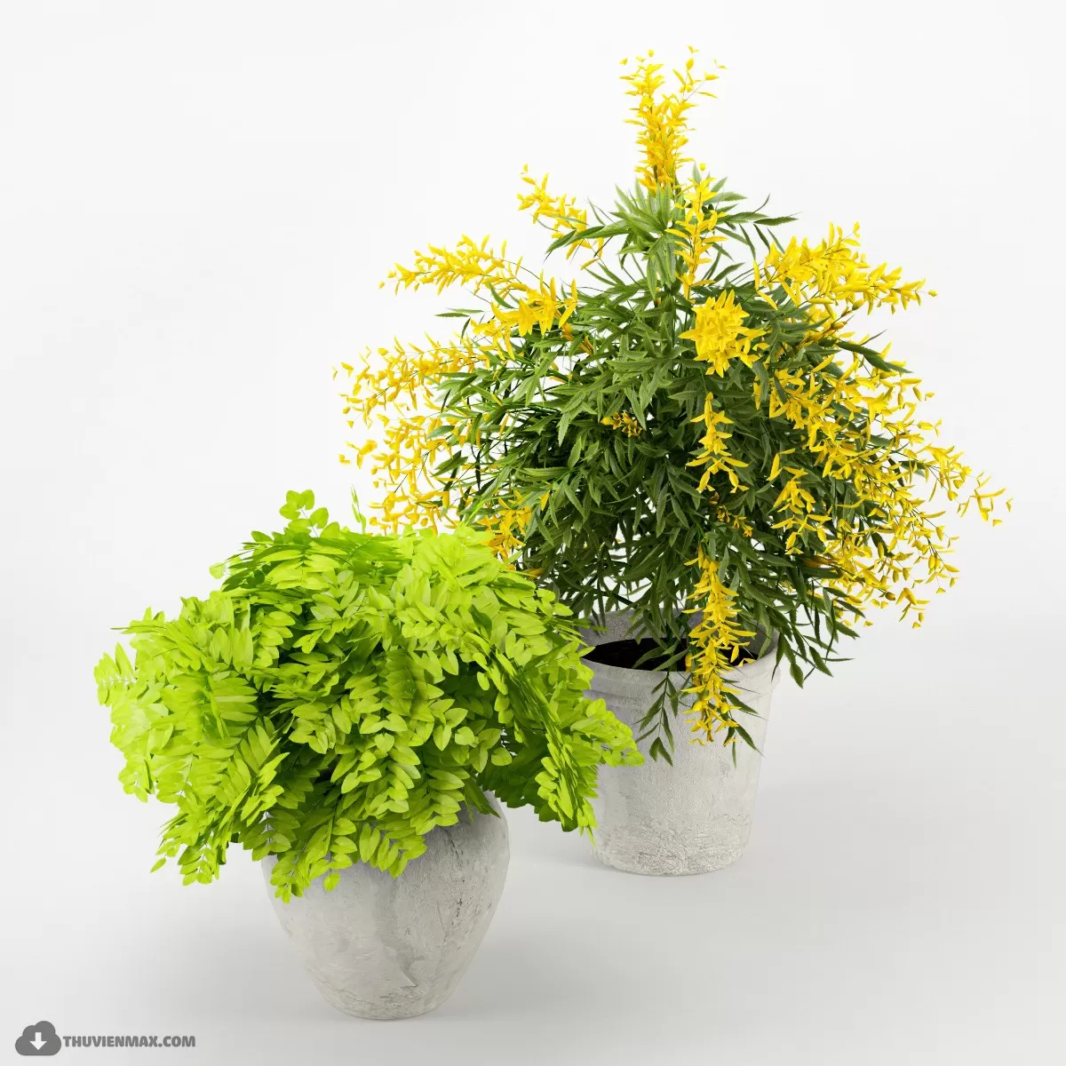 3DSKYFREE – PLANT 3DS MAX MODELS