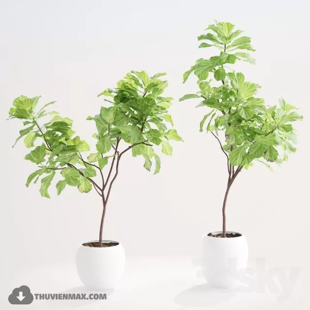 3DSKYFREE – PLANT 3DS MAX MODELS