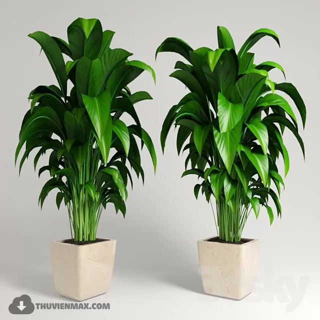 3DSKYFREE – PLANT 3DS MAX MODELS