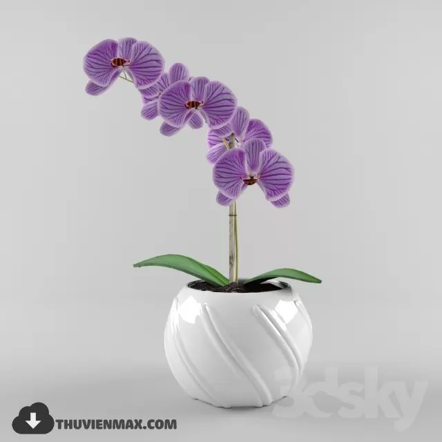 3DSKYFREE – PLANT 3DS MAX MODELS