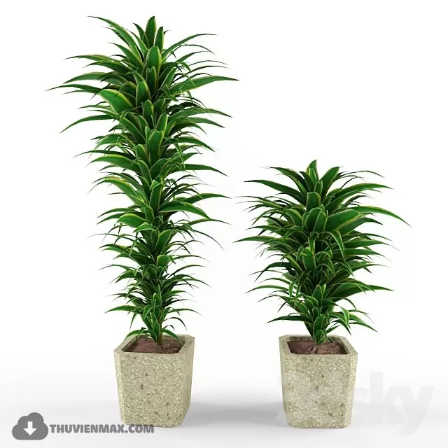 3DSKYFREE – PLANT 3DS MAX MODELS