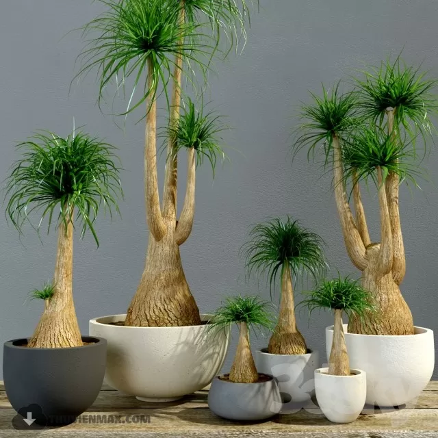 3DSKYFREE – PLANT 3DS MAX MODELS