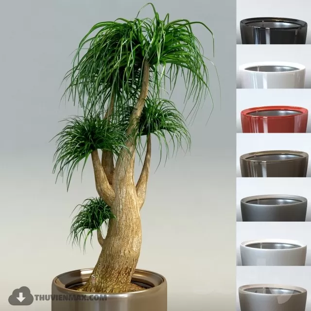 3DSKYFREE – PLANT 3DS MAX MODELS