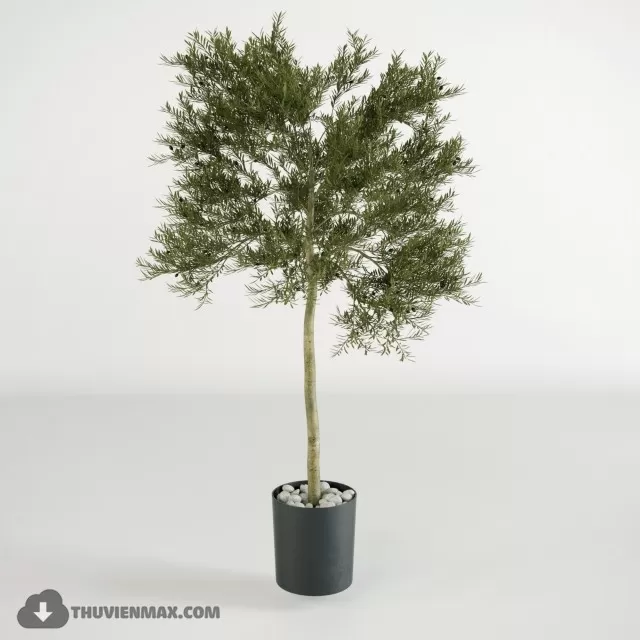 3DSKYFREE – PLANT 3DS MAX MODELS