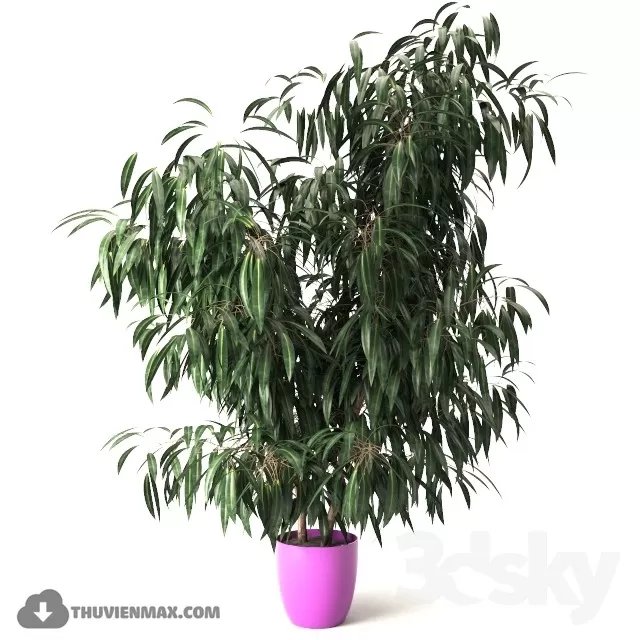 3DSKYFREE – PLANT 3DS MAX MODELS