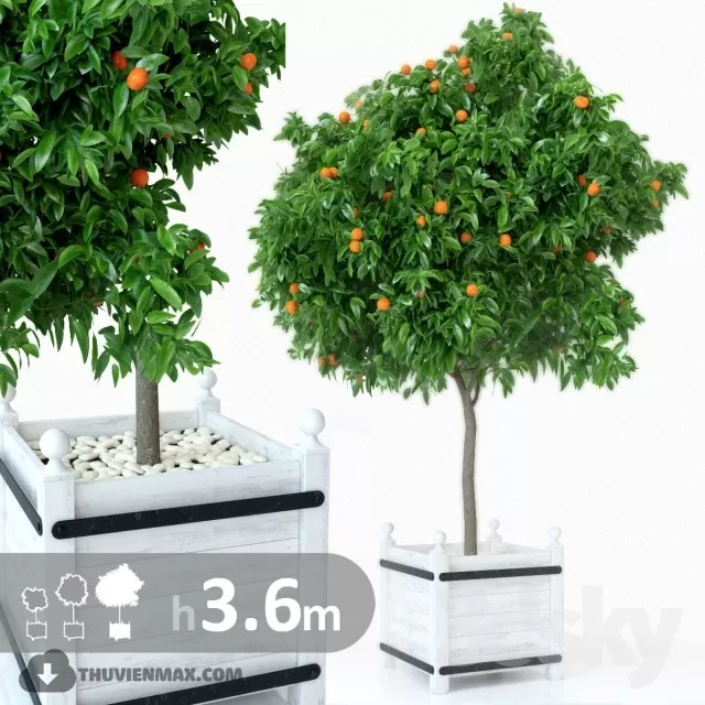 3DSKYFREE – PLANT 3DS MAX MODELS