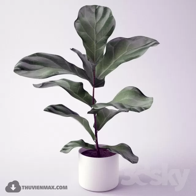 3DSKYFREE – PLANT 3DS MAX MODELS