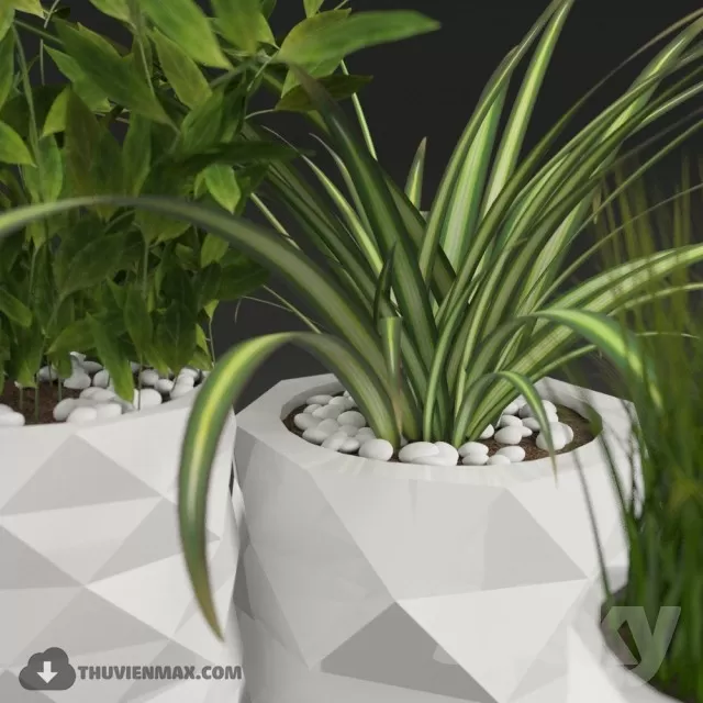 3DSKYFREE – PLANT 3DS MAX MODELS