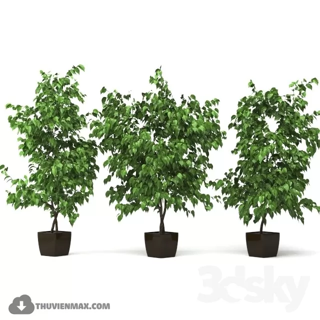 3DSKYFREE – PLANT 3DS MAX MODELS