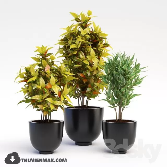 3DSKYFREE – PLANT 3DS MAX MODELS