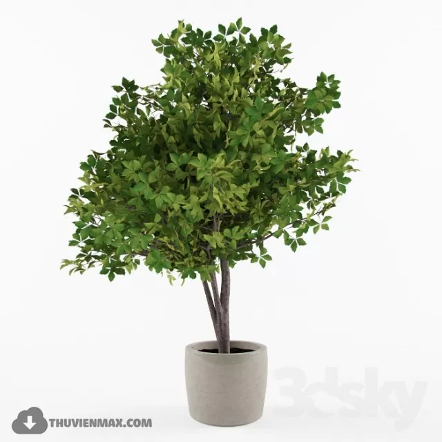 PLANT 3D MODELS