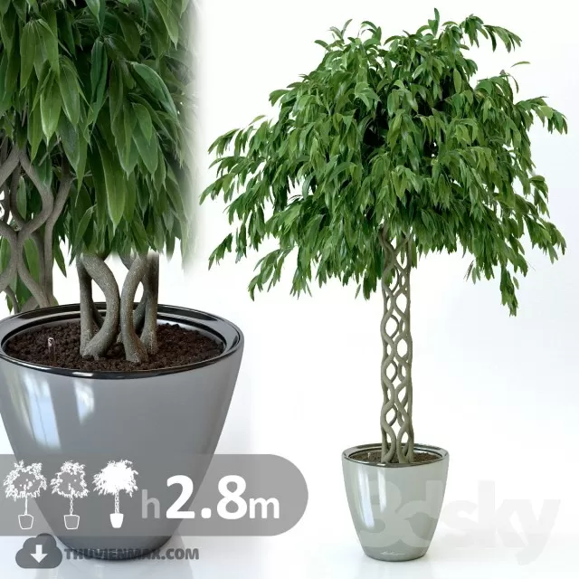 3DSKYFREE – PLANT 3DS MAX MODELS