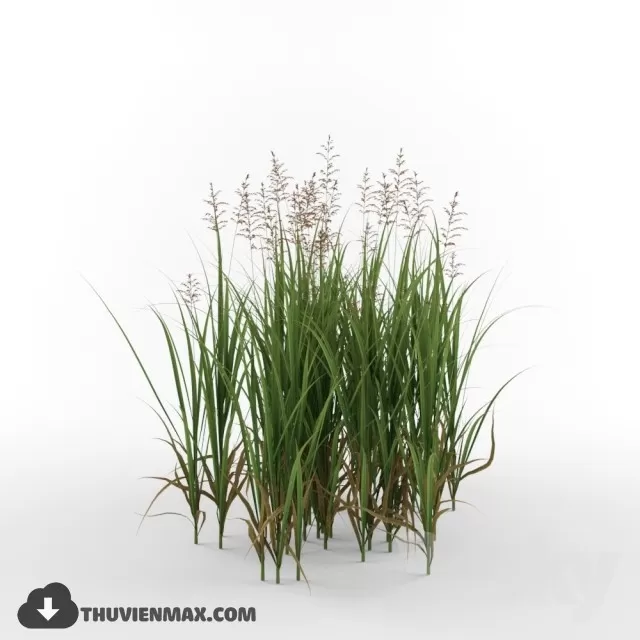 3DSKYFREE – PLANT 3DS MAX MODELS