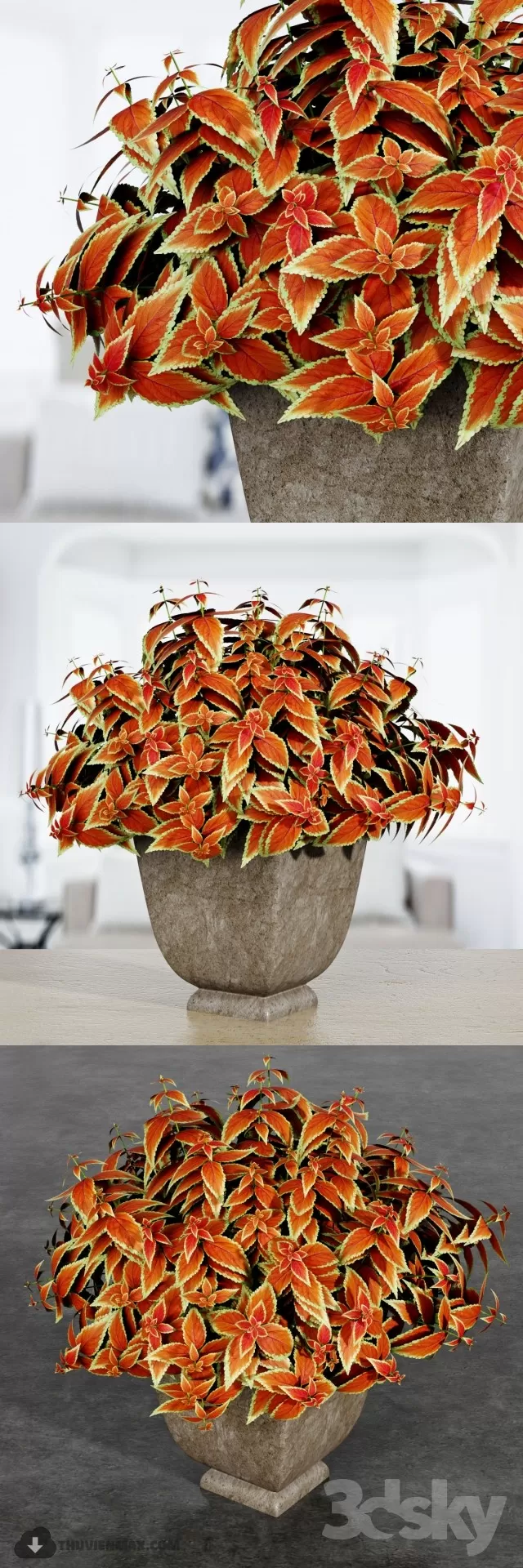 3DSKYFREE – PLANT 3DS MAX MODELS