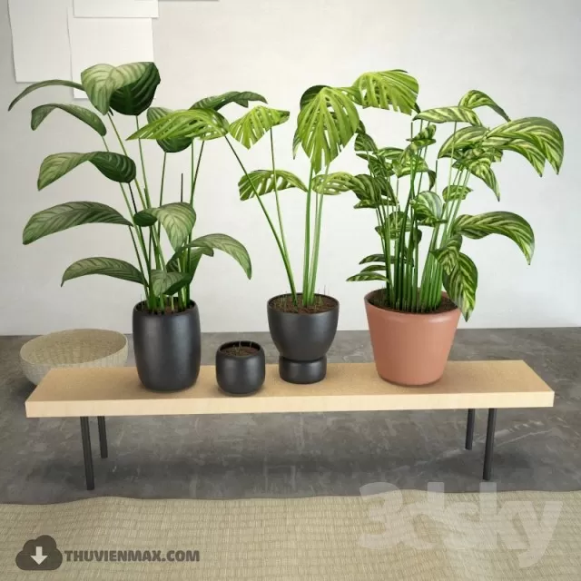 3DSKYFREE – PLANT 3DS MAX MODELS