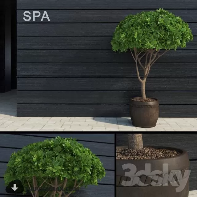 3DSKYFREE – PLANT 3DS MAX MODELS