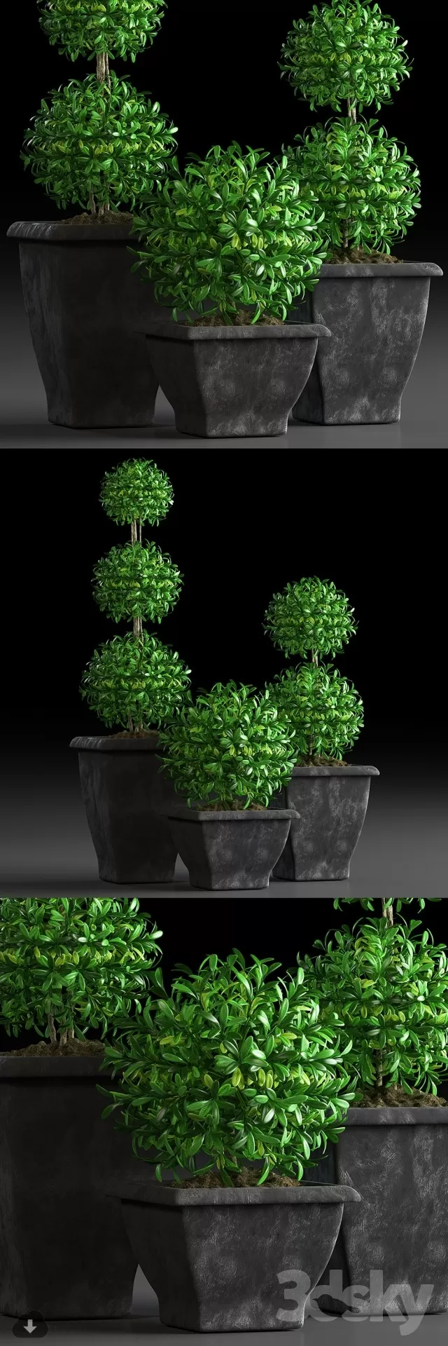 3DSKYFREE – PLANT 3DS MAX MODELS