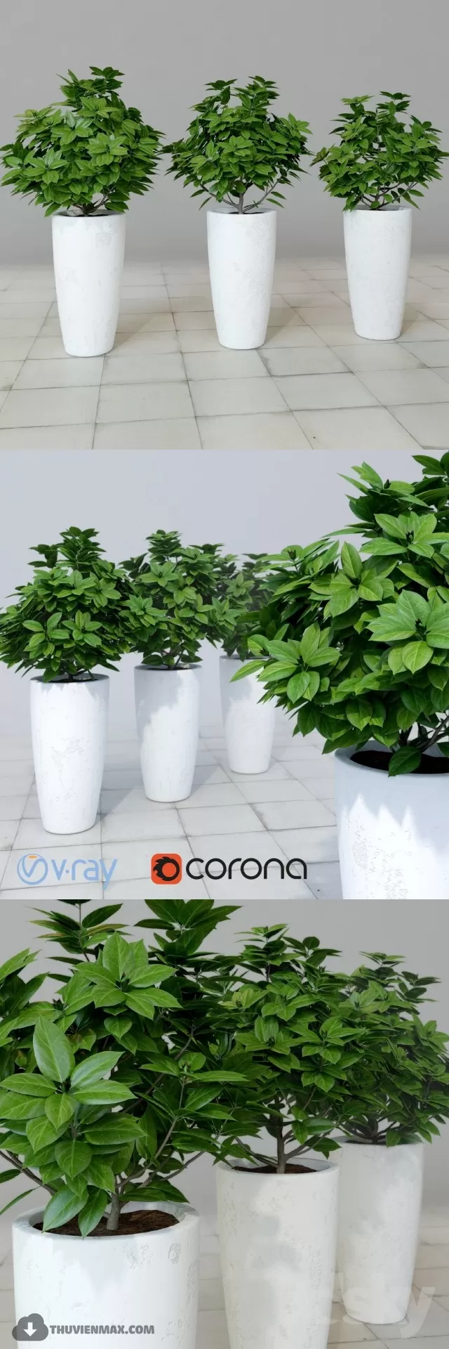 3DSKYFREE – PLANT 3DS MAX MODELS