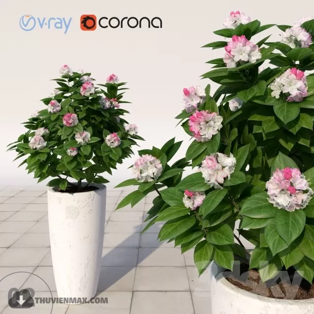 3DSKYFREE – PLANT 3DS MAX MODELS