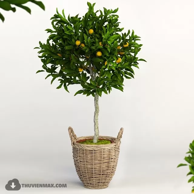 3DSKYFREE – PLANT 3DS MAX MODELS