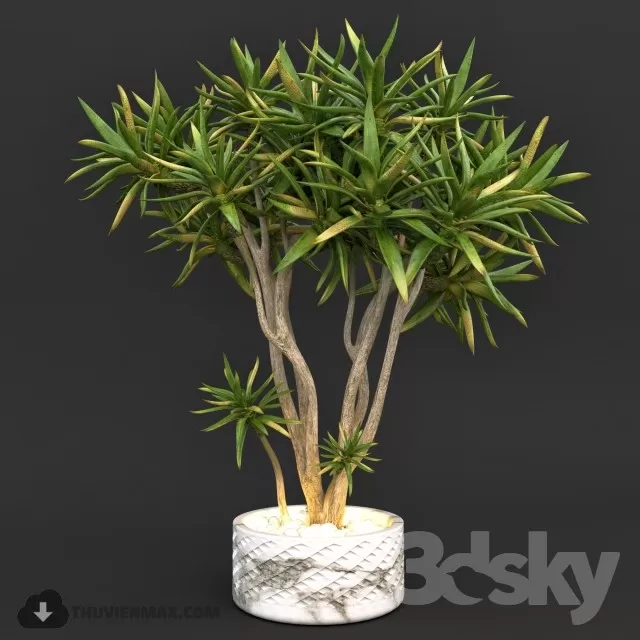 3DSKYFREE – PLANT 3DS MAX MODELS