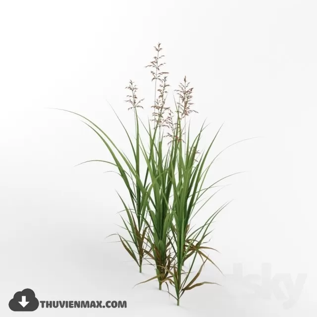 3DSKYFREE – PLANT 3DS MAX MODELS