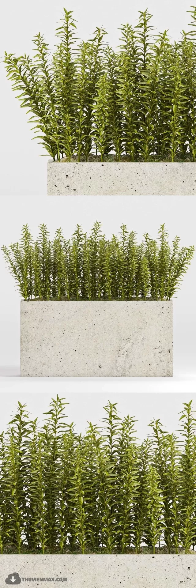 3DSKYFREE – PLANT 3DS MAX MODELS