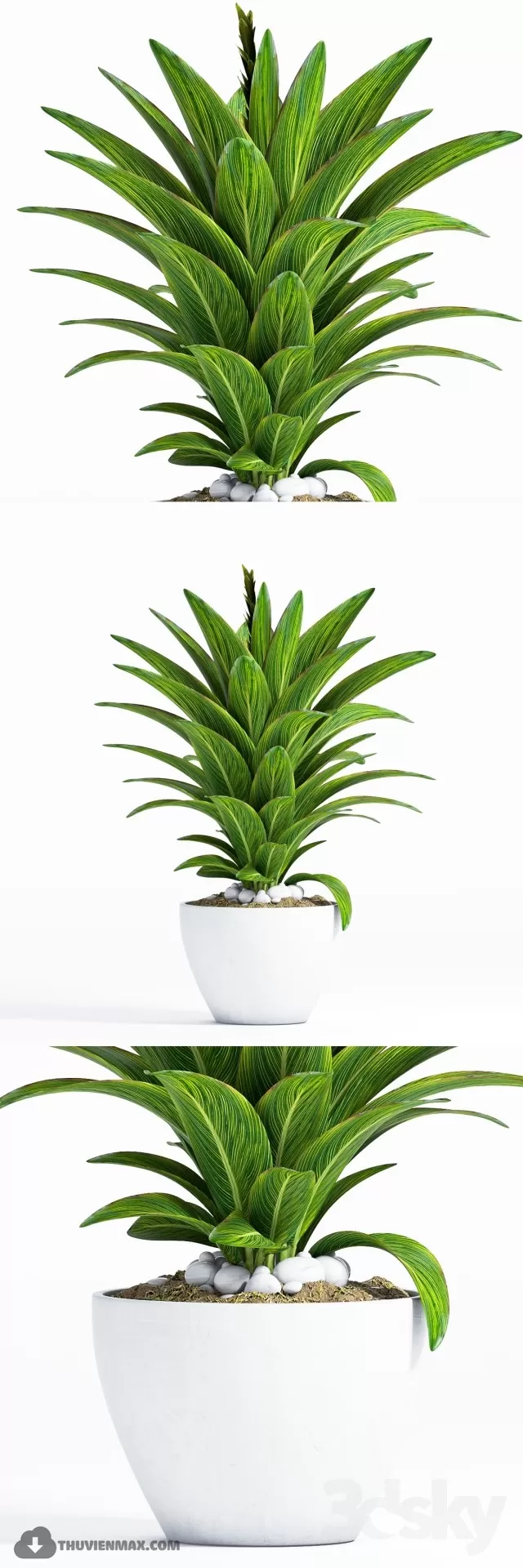 3DSKYFREE – PLANT 3DS MAX MODELS