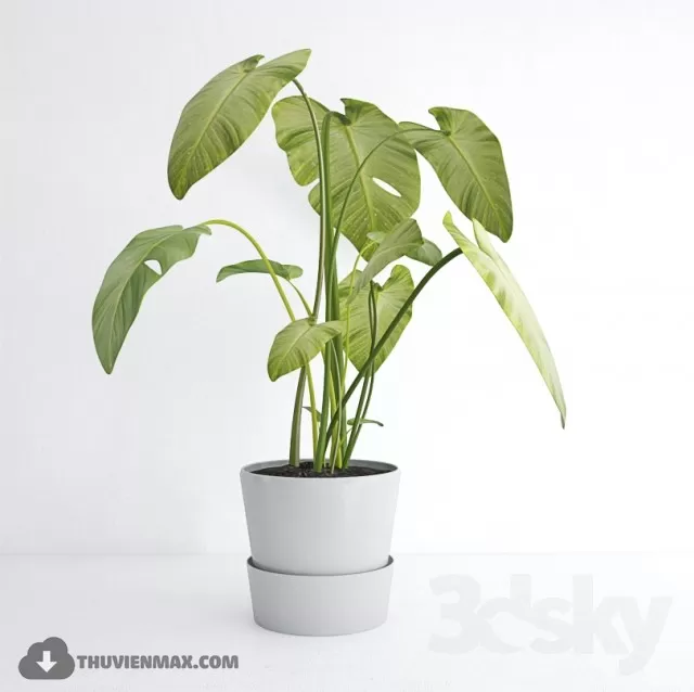 3DSKYFREE – PLANT 3DS MAX MODELS