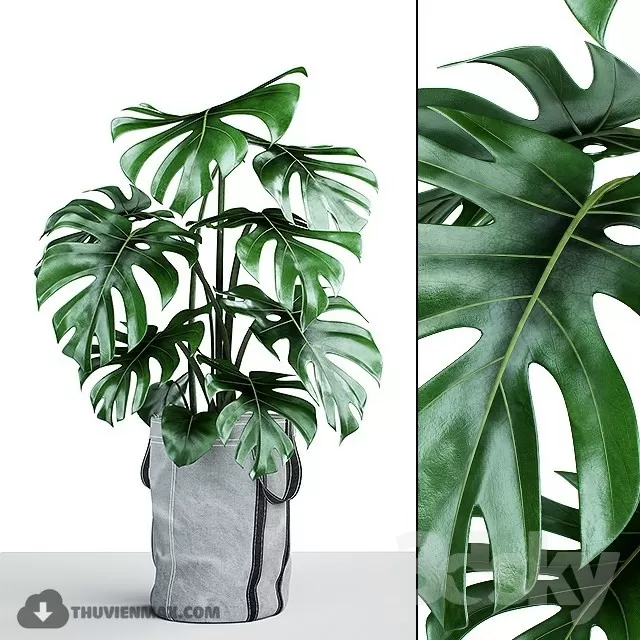 3DSKYFREE – PLANT 3DS MAX MODELS