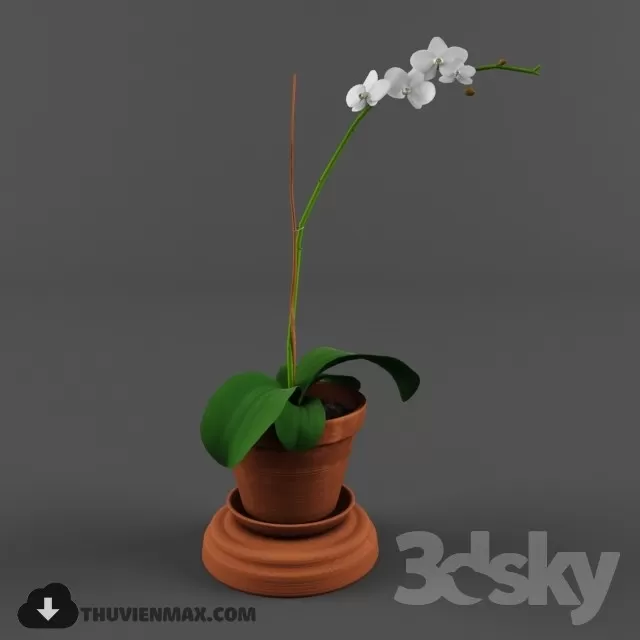 3DSKYFREE – PLANT 3DS MAX MODELS