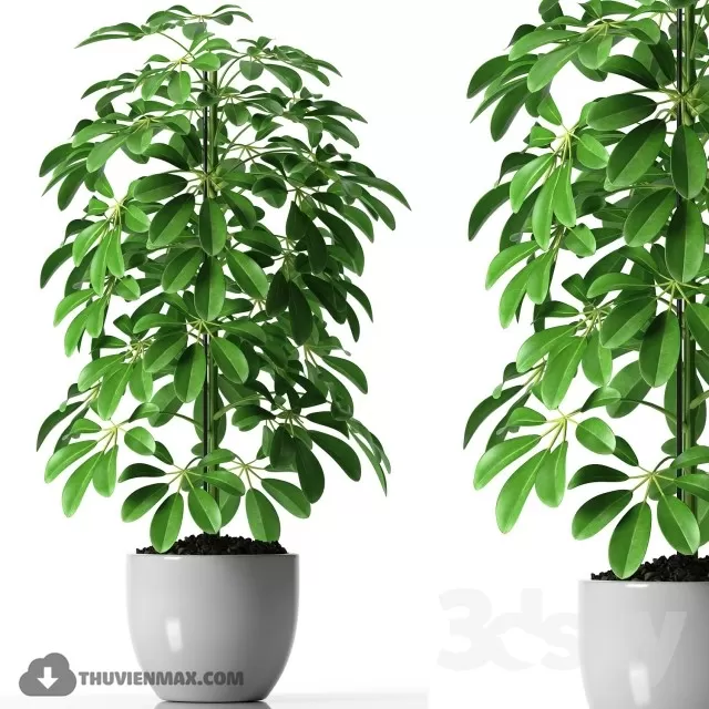 3DSKYFREE – PLANT 3DS MAX MODELS