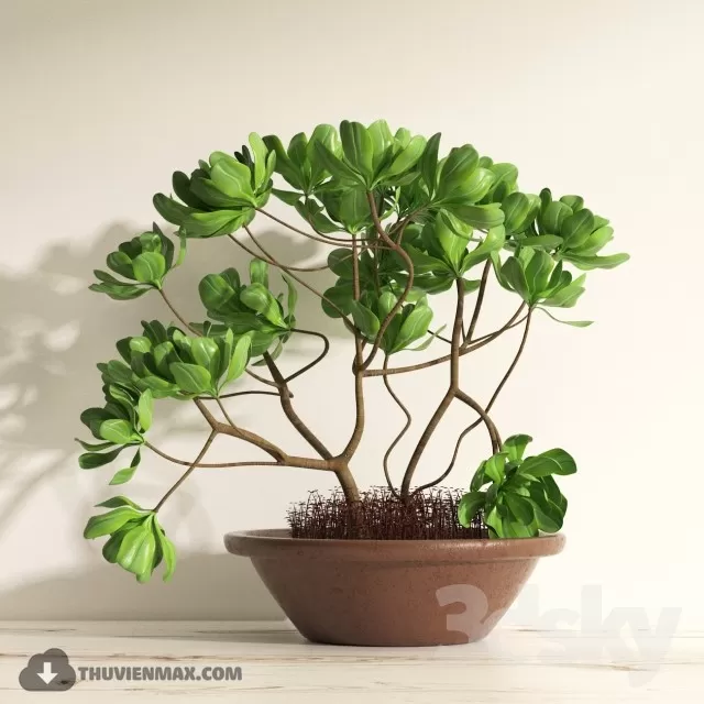 PLANT 3D MODELS