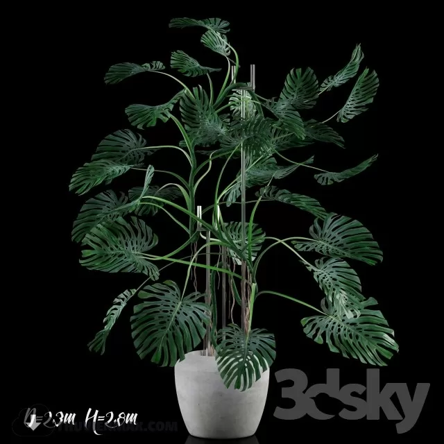 3DSKYFREE – PLANT 3DS MAX MODELS