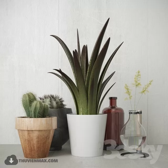 3DSKYFREE – PLANT 3DS MAX MODELS