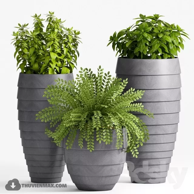 3DSKYFREE – PLANT 3DS MAX MODELS