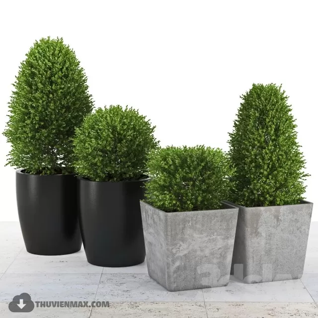 3DSKYFREE – PLANT 3DS MAX MODELS