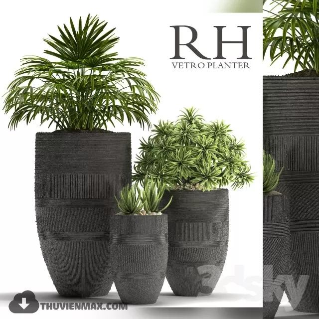 3DSKYFREE – PLANT 3DS MAX MODELS