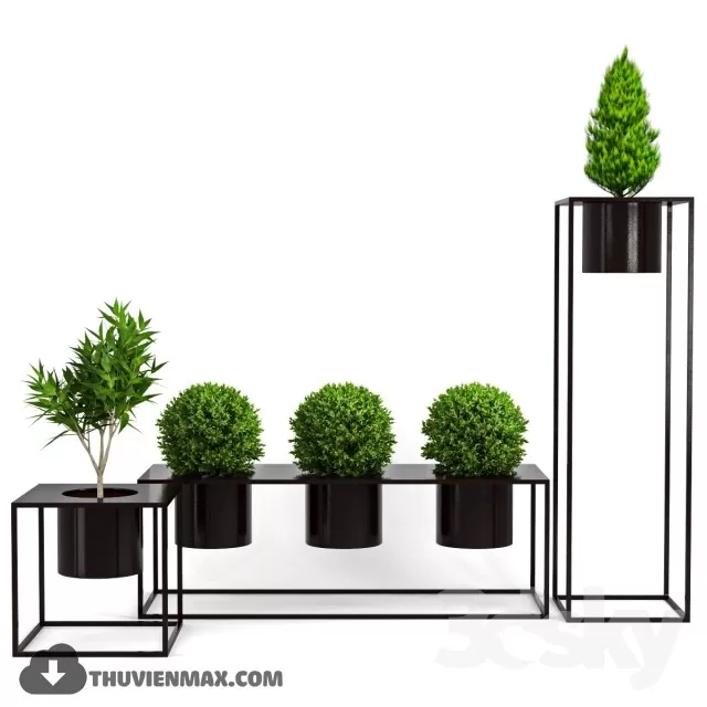 PLANT 3D MODELS