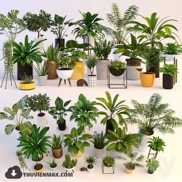 3DSKYFREE – PLANT 3DS MAX MODELS