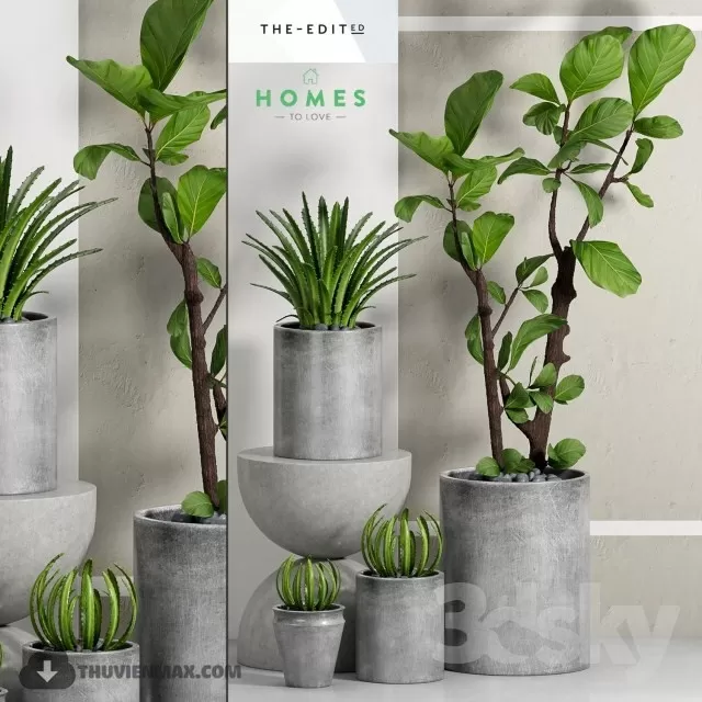 3DSKYFREE – PLANT 3DS MAX MODELS